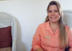 Paradiso: un viaje a la cultura cubana